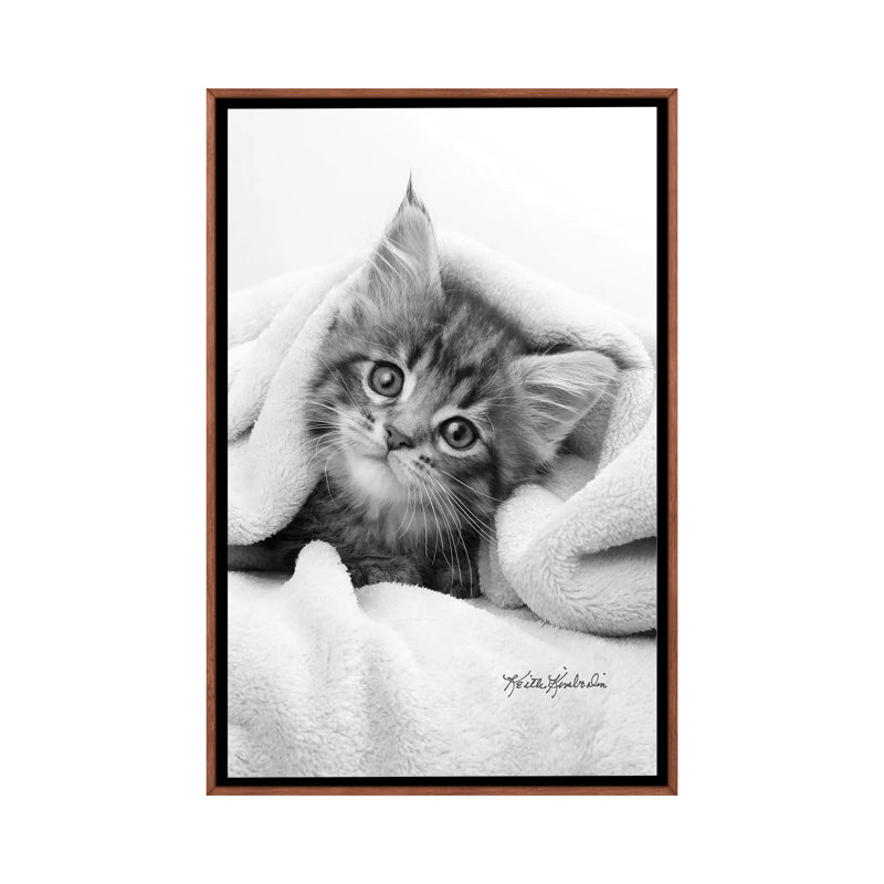 Bug In A Rug by Keith Kimberlin - Print on Canvas, Classic Brown Wood Framed, 101.6 cm H x 66.04 cm W