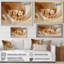 Playful Bear Cubs - Art mural impression d'ours-233750343-233750339-233750360