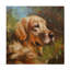 Art sur toile John Silver Golden Retreiver-104134796