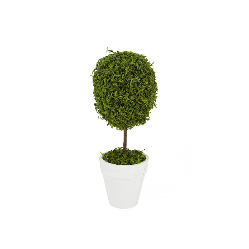 Elegant Outdoor Reindeer Moss Topiary in White Pot, 14" High