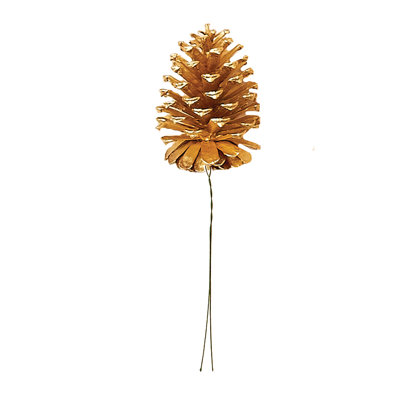 Pine Cone Pick