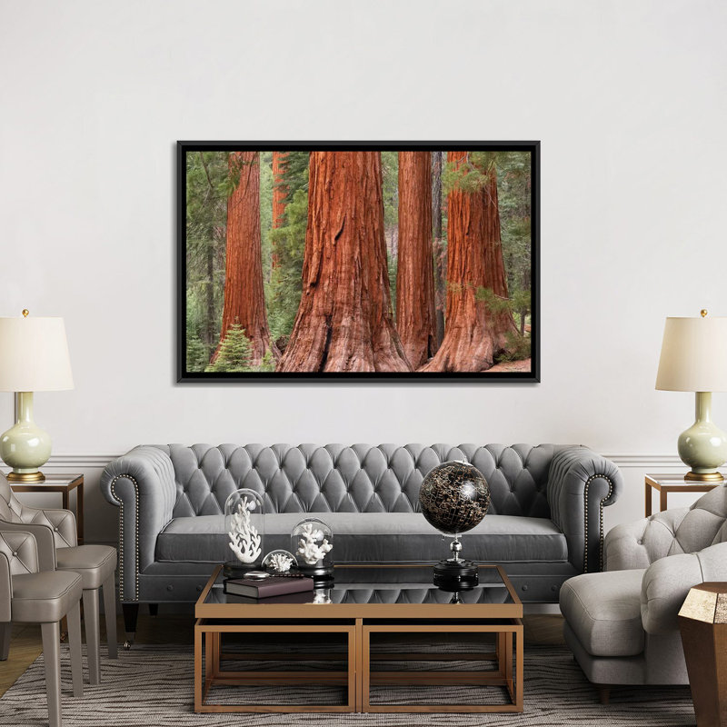 Mariposa oliveraies, reproduction de photo sur toile tendue, H 40 po x l 60 po x P 1,5 po, Toile avec cadre noir