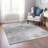 Fayme Abstract Indoor / Outdoor Rug-251219021