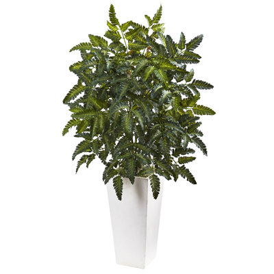 Bracken Fern with White Planter