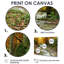 Forêt, cascade, arbres jaunes - reproduction de photo-1185076777-1113129306-1159866422