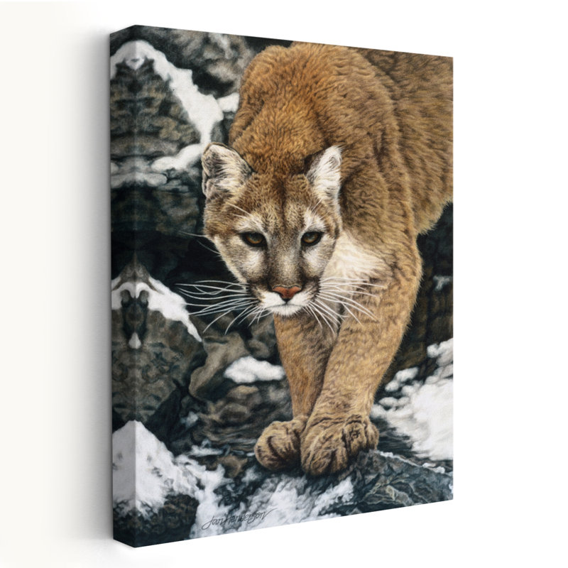 Approche silencieuse - animaux, chats, neige, hiver, H 60 po x l 40 po