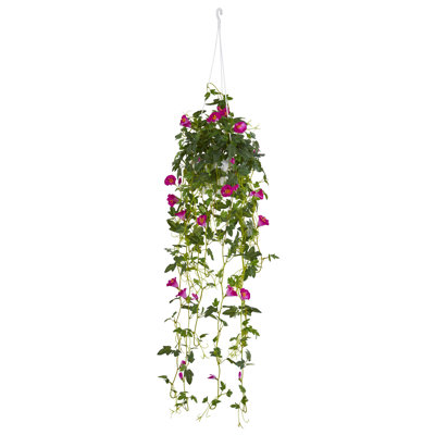 Panier suspendu petunia