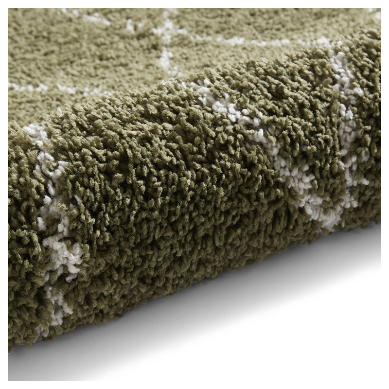 Pechler area rug Machine Woven Green, Rectangle 200 x 290cm