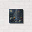 «Christmas Tree Collection 3» par Tanya Mavric-802153554