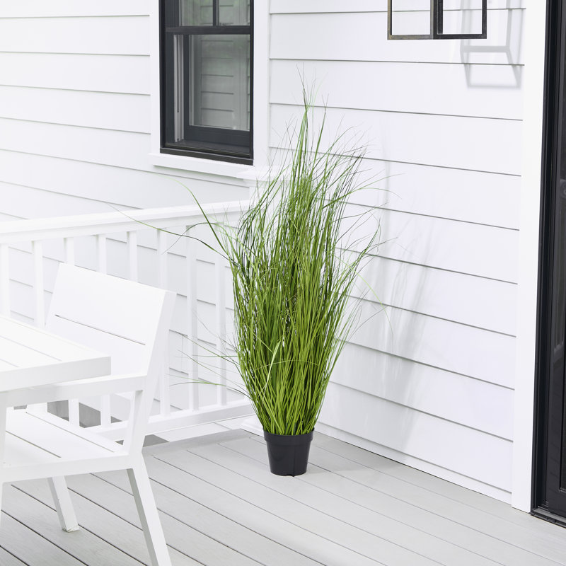 Herbe de fontaine en pot 60 po UV, 48 in x 17 in