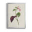 «Pretty Pink Botanicals VI», toile encadrée de qualité supérieure - prête à être accrochée-1896696338-1896696424