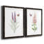 «Wildflower Botanical I», ensemble de 2 reproductions d'art-562126045-559780482