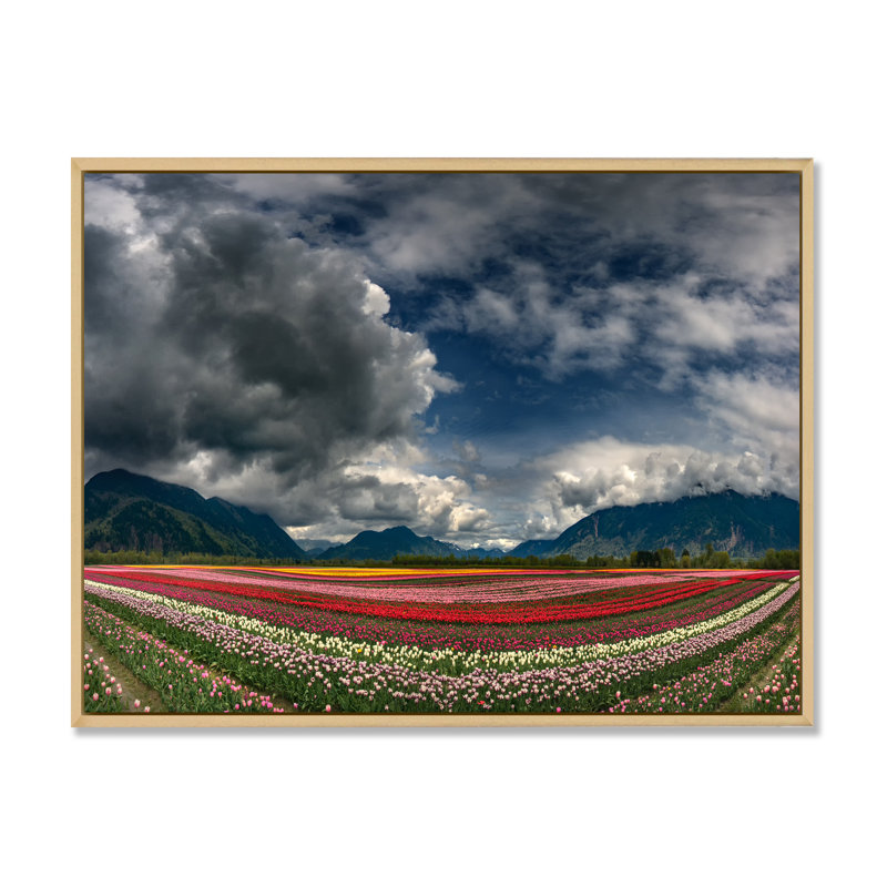Champ de fleurs de nuages gris - œuvre d'art traditionnelle sur toile, H 30 po x l 40 po x P 1,5 po
