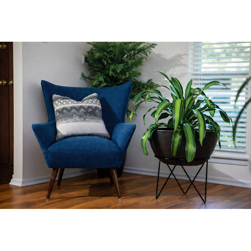 Support à plante rond en métal 10 po - Noir, H 13,05 po x L 10 po x P 10 po