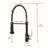 Kitchen Faucet with Pull Down Sprayer-97011234