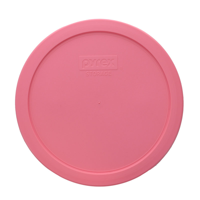 4 Cup Food Storage Container, Retro Pink Pantone