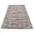 Oriental Indoor Rug