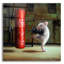 «Gym Rat» par Lucia Heffernan-102456052