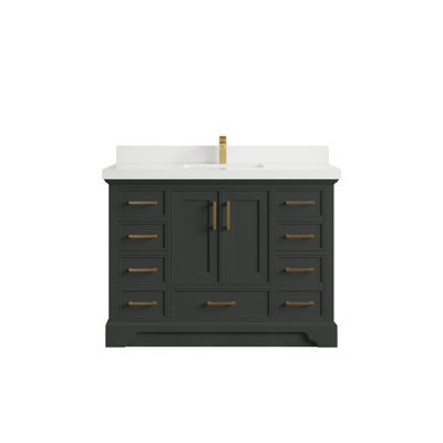 Charlotte 48'' Single Bathroom Vanity with Top