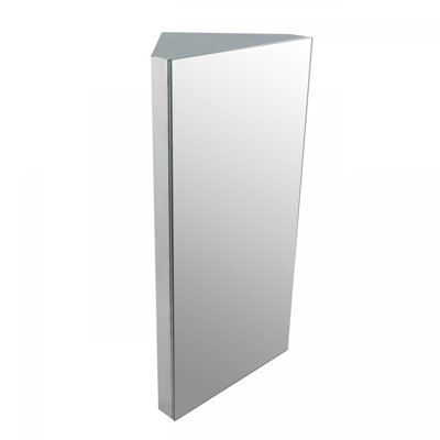 Polito 11.87'' W 23.62'' H Surface Frameless Medicine Cabinet Mirror 3 Fixed