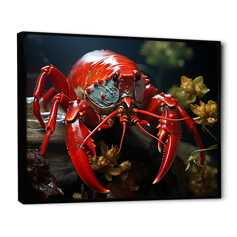 Red Mantis Shrimp, reproduction de photo sur toile, H 24 po x l 32 po x P 1 po, Cadre flottant noir