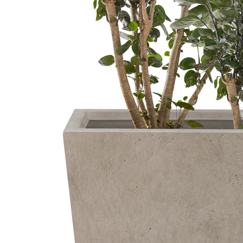 Wurster 3 Piece Tall Planters, Large Outdoor Indoor Decorative Pot with Drainage Hole and Rubber Plug, Modern Tapered Style Set