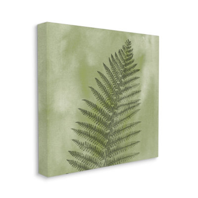 Art sauvage sur toile de fougère sauvage par Ziwei Li