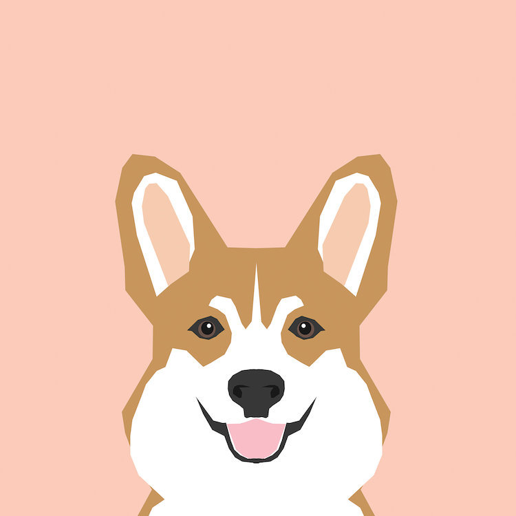 Corgi, impression sur toile tendue, H 12 po x l 12 po x P 0,75 po, Toile tendue, Pas de tapis