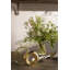 Penn Watering Can-309046707