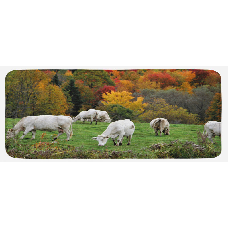 Tapis de cuisine pour animaux de ferme
