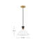 Luminaire suspendu convertible 1 lumière Simon
