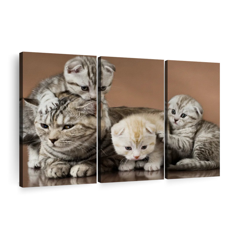 «Cat Family», 3 pièces, H 48 po x l 74 po