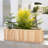 Barros Solid Cedar Rectangular Planter Box with Drainage Holes-2102626844-2088857656
