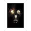 «Cave Skull» par Ali Gulec, impression sur toile tendue-15808445-74878809-74878810