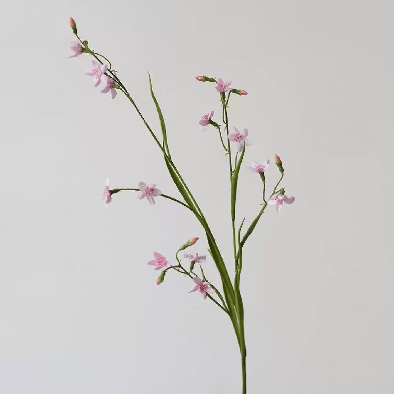 Tige délicate de lis de pluie - 29,5 po, Ivory White, [D] 12 Stems