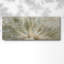 " Macro Dandelion IV "-932673631