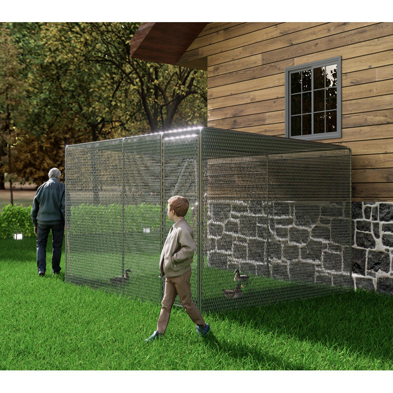 Cage à poules pour poulailler