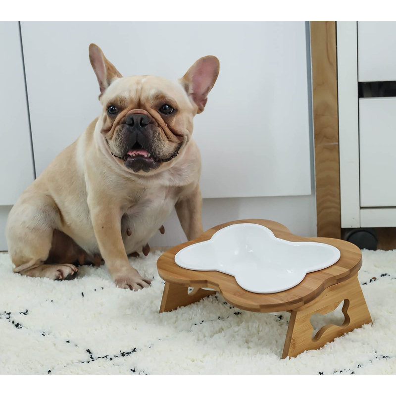 Elevated Feeder