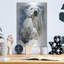 «Ivory» par Barbara Keith-869627534
