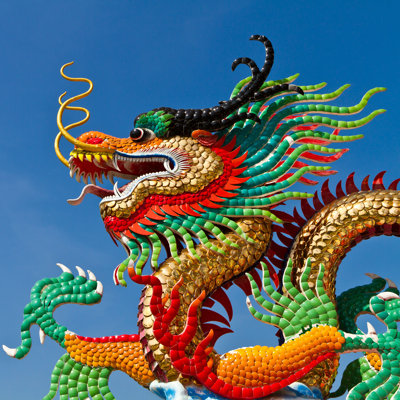Meleney Dragon - Photographie sur toile tendue