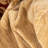 Sabin Damask Indoor Rug-31647746