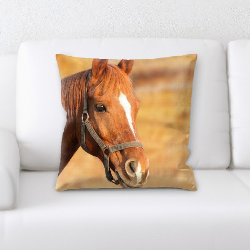 Coussin cheval