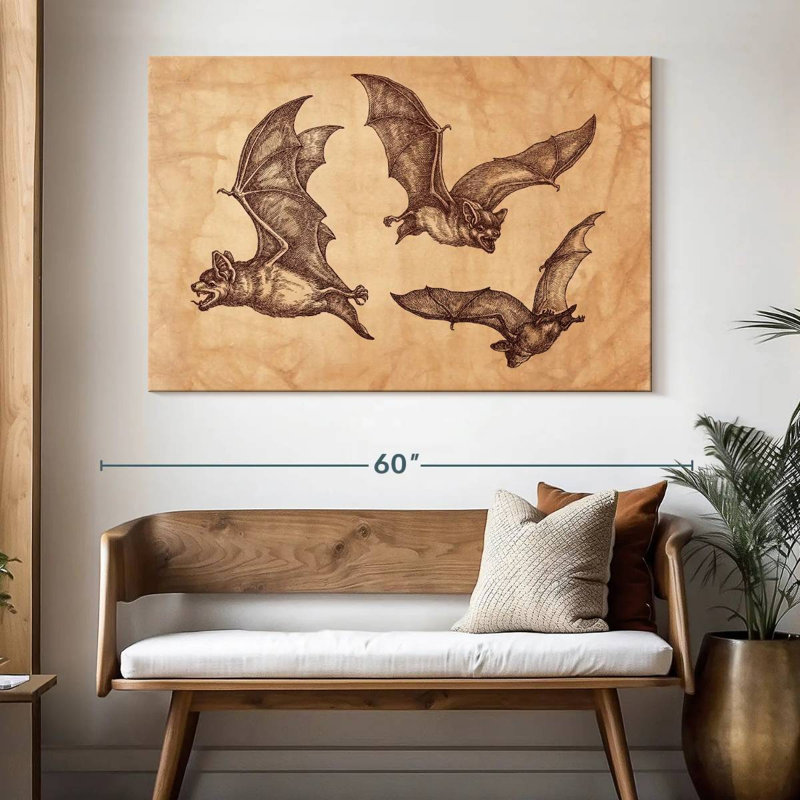 Chauves-souris Brampt, H 34 po x l 51 po