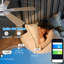 Le ventilateur de plafond intelligent 52 pouces RVB avec éclairage et haut-parleurs intégrés prend en charge le fonctionnement de l'APP / de la télécommande. Fonctionne avec un éclairage à DEL à moteur à intensité variable et réversible à 6 vitesses, idéal pour les chambres à coucher et les salons.-923647396-923647398-924525537
