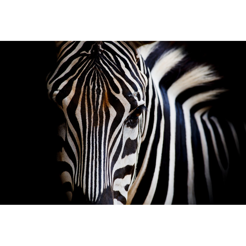 Burchell's Zebra - Wrapped Canvas Print, 20cm H x 30cm W x 3.8cm D