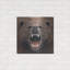 «Bear 2» par Harro Maass-769967420