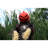 Haunted Hill Farm 80 In. Life-Size Poseable Pumpkin Scarecrow, Halloween Animatronic with Touch Activated Lights and Sound