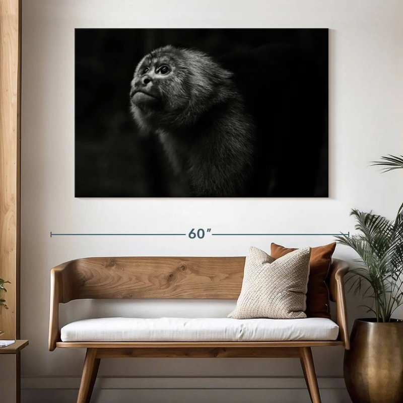 Brampt Capuchin Monkey, 34'' H x 51'' W