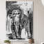 Asian Elephant 1 Piece Wrapped Canvas Painting-904718278