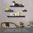 Marijonas 4 Piece Floating Shelf-2052040931